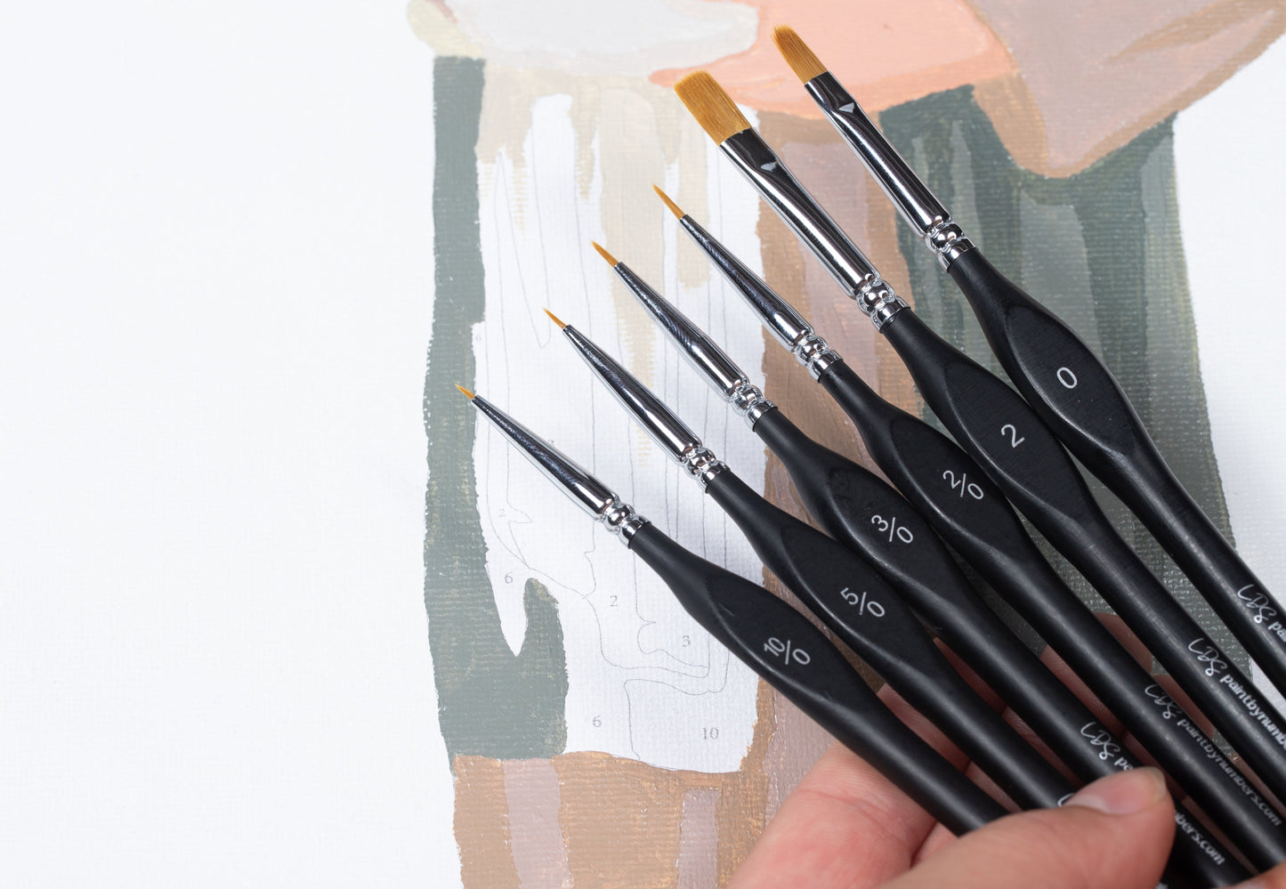 Premium Brush Set - 6 Pack