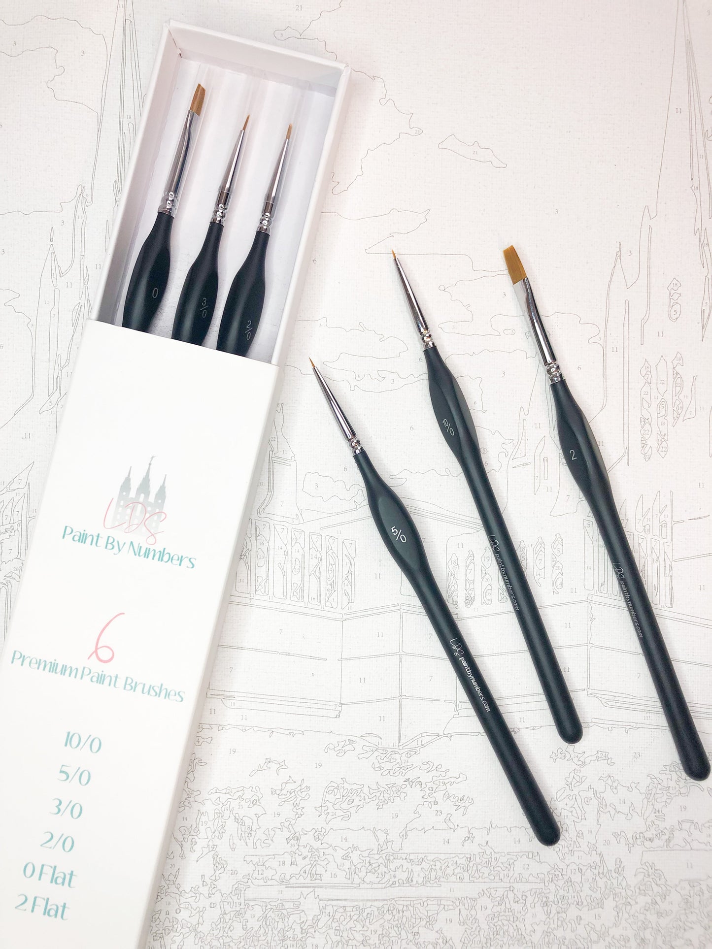 Premium Brush Set - 6 Pack