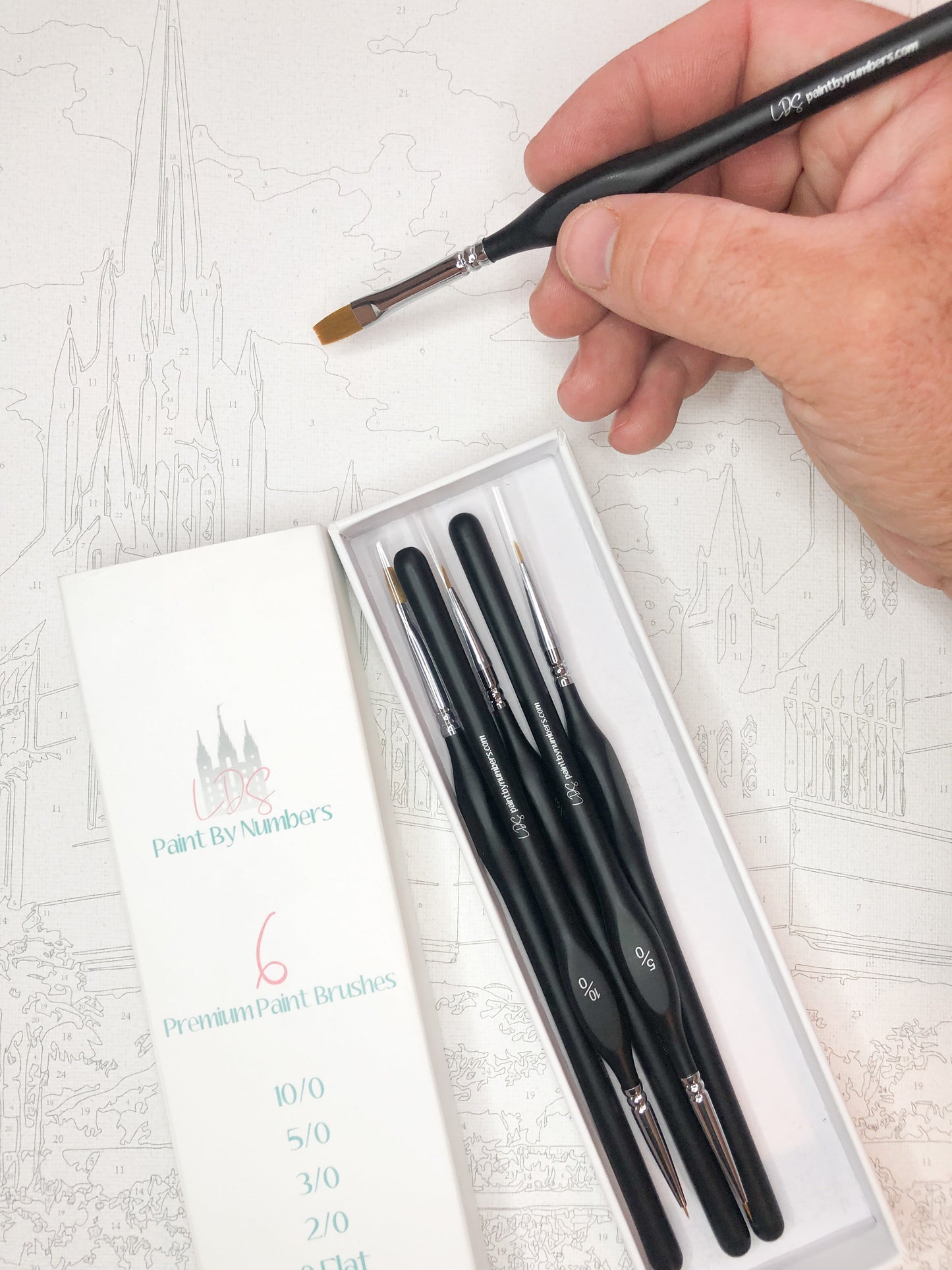 Premium Brush Set - 6 Pack
