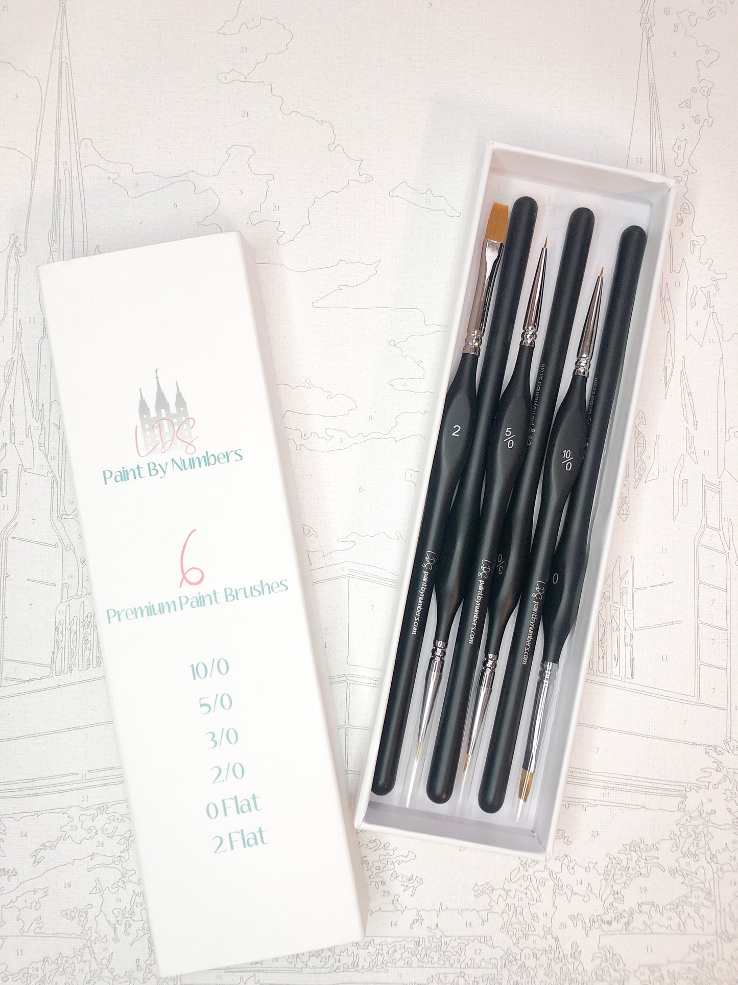Premium Brush Set - 6 Pack